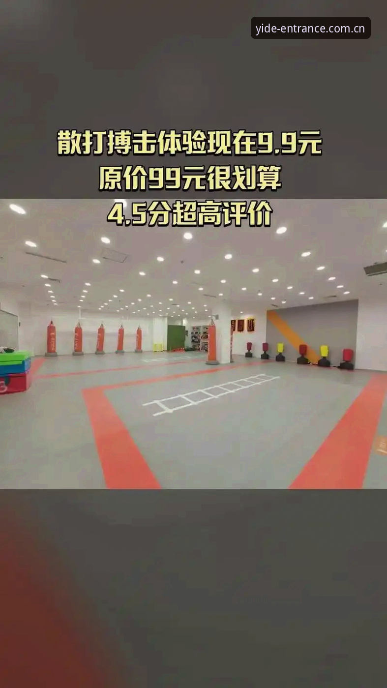 亿德体育平台最新动态：2024版亿德体育APP教程深度评测，助你快速上手